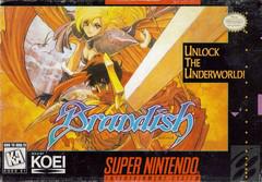Brandish - Super Nintendo - Used w/ Box & Manual