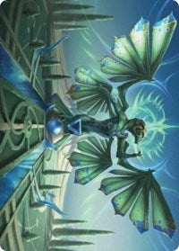 Tanazir Quandrix Art Card - Lightly Played / ASSTX