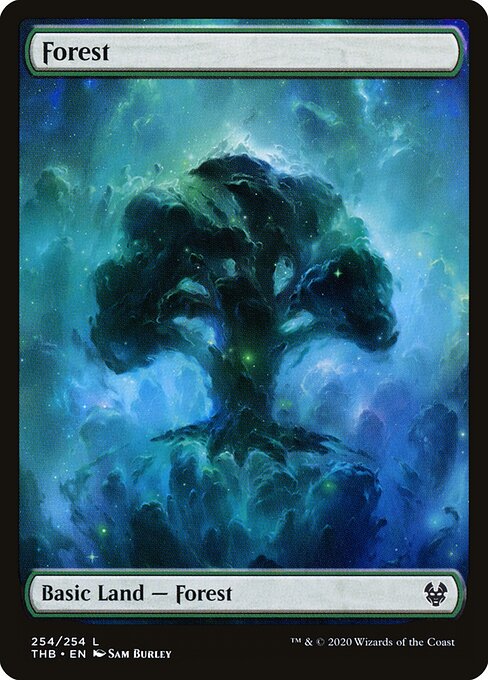Forest (254) - FULL ART - Foil Lightly Played / thb