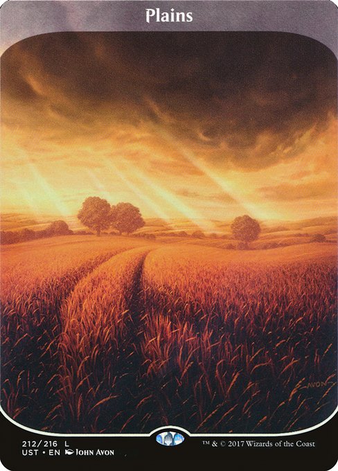 Plains (212) - BORDERLESS - FULL ART - Lightly Played / ust