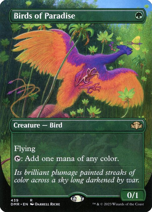 Birds of Paradise (439) - BORDERLESS - FULL ART - Lightly Played / dmr